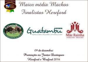 media_machos_hereford
