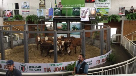 remateparana