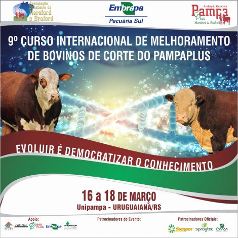Divulgação_CursoPampaPlus_2017