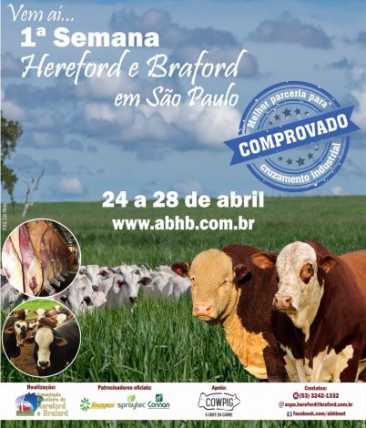 Arte_1SemanaHBSP