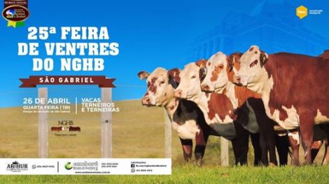 FeiradeVentres