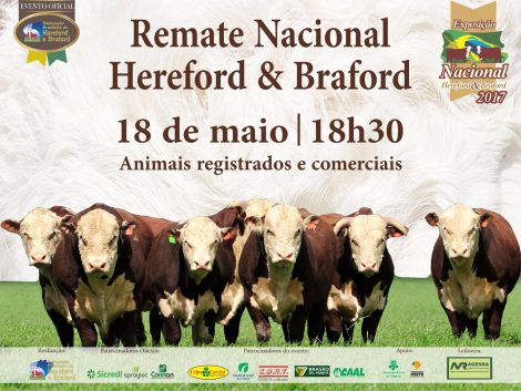 Arte_RemateNacionalHB