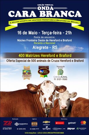 RemateOndaCaraBranca