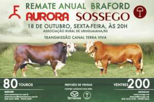 Remate Anual Braford Aurora e Sossego – 18/10