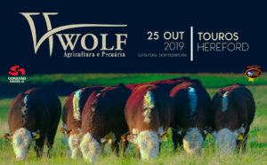 Wolf Agricultura e Pecuária – 25/10