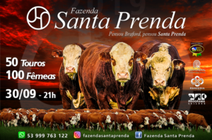 Remate Seleção Santa Prenda – 30/09