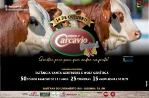 Remate Carcávio, Pedra Grande e Parceiros – 14/10
