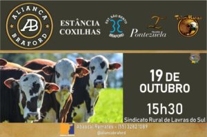 III Aliança Braford – 19/10