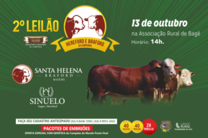 Hereford e Braford da Campanha