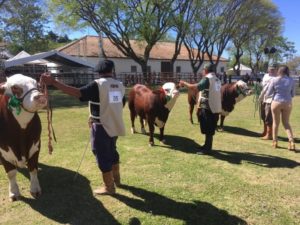 Inscrições para a 86ª Exposição Agropecuária de Dom Pedrito já podem ser realizadas