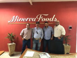 Minerva Foods bonifica primeiros animais Hereford e Braford