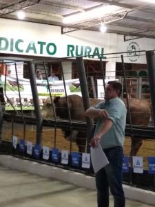 48º Remate Estância do Bolso comercializa reprodutores HB em São Gabriel