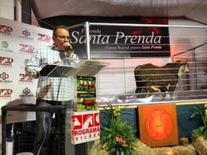 Leilão Seleção Santa Prenda comemora crescimento de 13% nas vendas