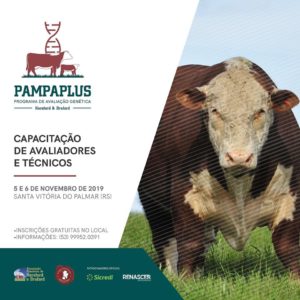 PampaPlus realiza capacitação técnica para seus usuários em Santa Vitória do Palmar