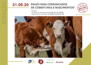Prazo para comunicado de cobertura e nascimento encerra nesta semana