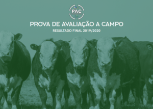 PAC elege os grandes campeões HB 2019/2020