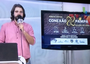 Com médias expressivas, Remate Virtual Conexão Pampa edição de outono abre agenda de leilões oficializados pela ABHB