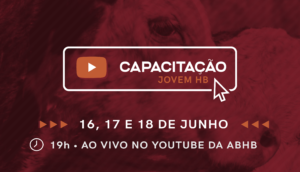 Núcleo Jovem HB movimenta mais de 300 pessoas em Capacitação Técnica digital