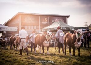 ABHB se posiciona contra participação na 43ª Expointer