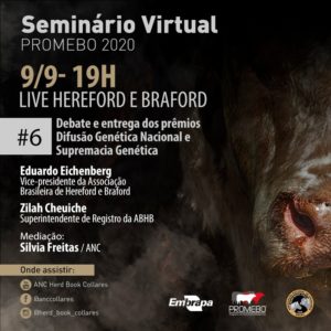 Raças Hereford e Braford serão tema em live da ANC