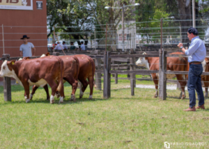 ABHB abre inscrições para 108ª Expofeira de Bagé