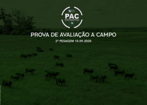 ABHB e Embrapa realizam terceira pesagem da PAC 2020/2021