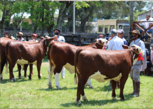 Encerra nesta sexta-feira o prazo para as inscrições na Expofeira de Santa Vitória do Palmar