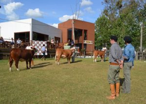 Prazo para inscrições HB na Expofeira de Bagé encerra hoje