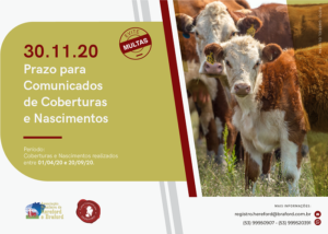 Prazo para envio de comunicados de cobertura e nascimento encerra dia 30 de novembro