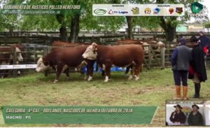 Definidos os campeões da Expofeira De Santa Vitória do Palmar