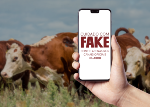 Fique atento a informações falsas e fraudes