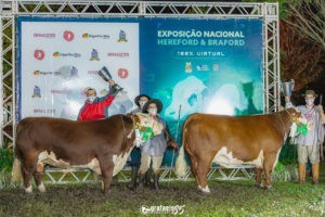 Cabanha Touro Passo e Vacacaí conquistam principais premiações das raças Hereford e Polled Hereford na Nacional 2021