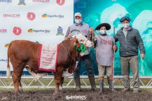 Definidos os Grandes Campeões da 2ª Exposição Nacional de Terneiro (a) HB