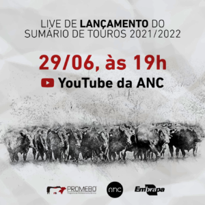 Sumário de Touros Hereford e Braford do Promebo será lançado amanhã (29)