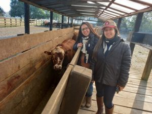 Técnicas Certificadoras da Carne Hereford participam de treinamento na Fazenda Pulquéria