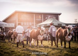 ABHB abre inscrições para a Expointer 2021
