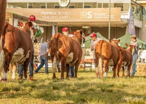 ABHB apresenta jurados para a 44ª Expointer