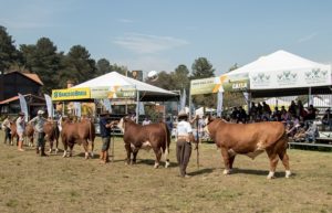 Expointer 2021: Inscrições abertas para o 22º Concurso Jurado Jovem