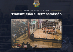 ABHB disponibiliza canal do Youtube para transmissão e retransmissão dos Remates Oficiais