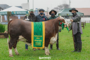 São Conhecidas as Grandes Campeãs Braford a galpão da 44ª Expointer