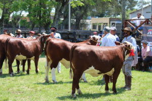 Abertas as inscrições para a 109ª Expofeira de Bagé
