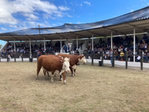 Santa Vitória do Palmar divulga os campeões da 90ª Expofeira da cidade