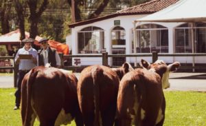 ABHB abre inscrições para a 88ª Exposição de Dom Pedrito