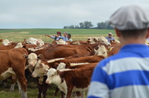 20º Jornada de Atualização Técnica será realiza em quatro etapas