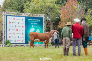 Exposição Nacional: ABHB informa alteração de jurado na raça Hereford