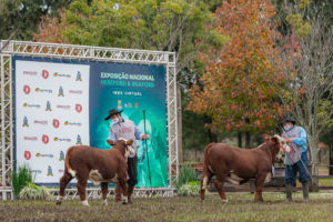 ABHB abre inscrições para a Exposição Nacional 2022 e atenta para mudanças no regulamento