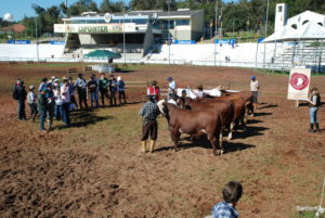Abertas inscrições para 24ª edição do Curso Jurado Jovem