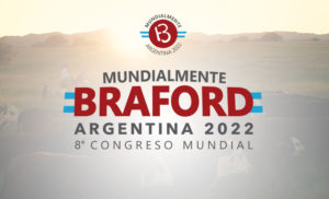Equipe da ABHB se prepara para participar de Mundial Braford Argentina