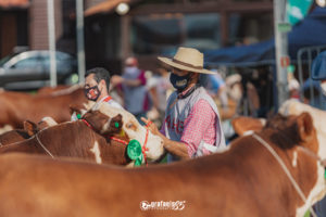 Pré-admissão para a 45ª Expointer será em novo formato
