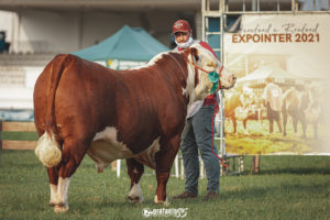 Expointer 2022: inscrições encerram amanhã